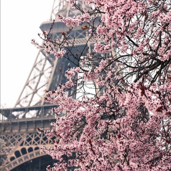 prettyinpink___